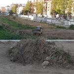 El asesinato ecológico del Guadalmedina: Un atentado a la biodiversidad y la salud pública