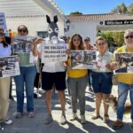 <strong>El pulso por los burro-taxi de Mijas: la lucha animalista desafía el lavado de imagen institucional</strong>